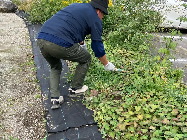 【草むしり】お庭の雑草を処理して気持ちいいお庭に！そんなご要望に応えます！サービスの画像
