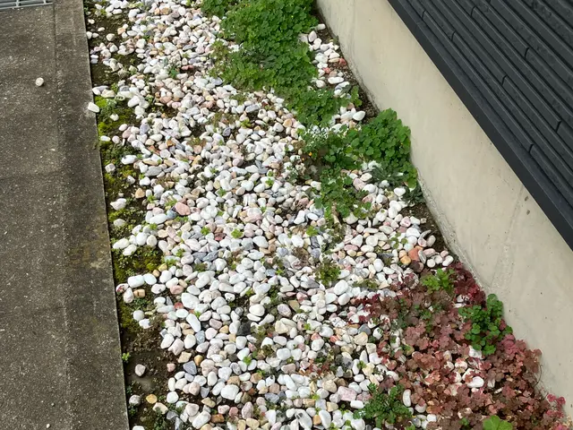 【草むしり】お庭の雑草を処理して気持ちいいお庭に！そんなご要望に応えます！サービスの画像