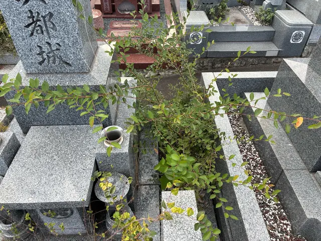 【地域密着】ご家族に変わり心を込めてお参り、清掃させていただきます。サービスの画像