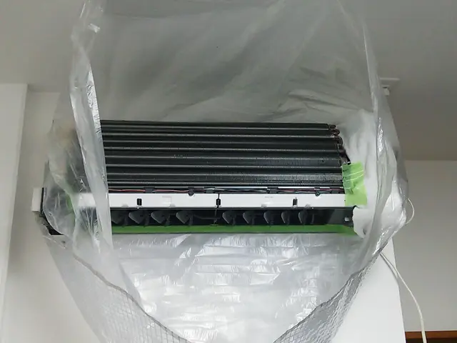 【通常12,100円のところ2,200円引き】今がお得！秋のキャンペーンサービスの画像