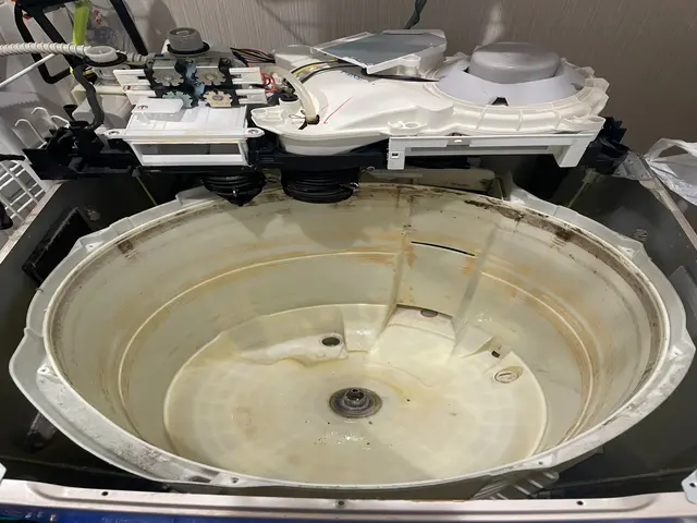 子どもがいる家庭の父親が提供する、ぬくもりと安心の洗濯機クリーニング！サービスの画像