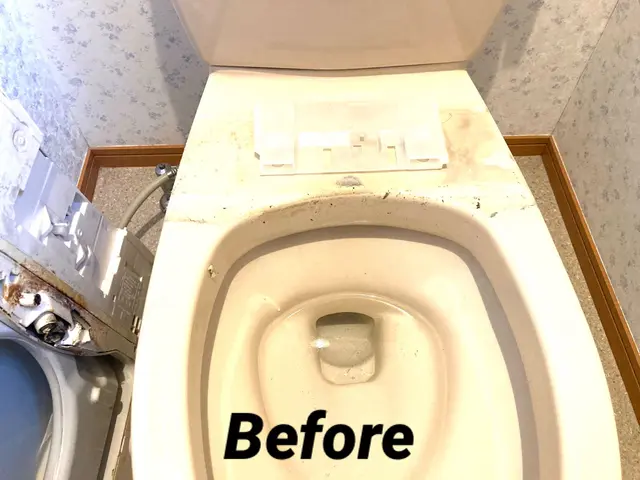 ☆ハウスクリーニング士が伺います　☆損害保険加入済で安心サービスの画像