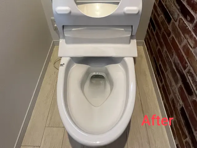 【新年お掃除応援キャンペーン】47,000円→43,000円　2月末まで！サービスの画像