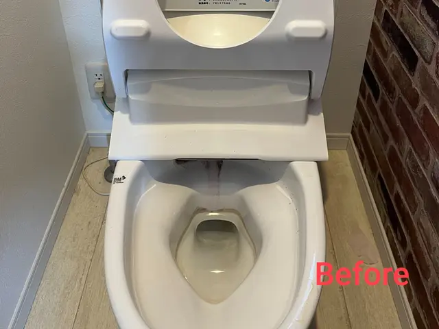 【新年お掃除応援キャンペーン】47,000円→43,000円　2月末まで！サービスの画像