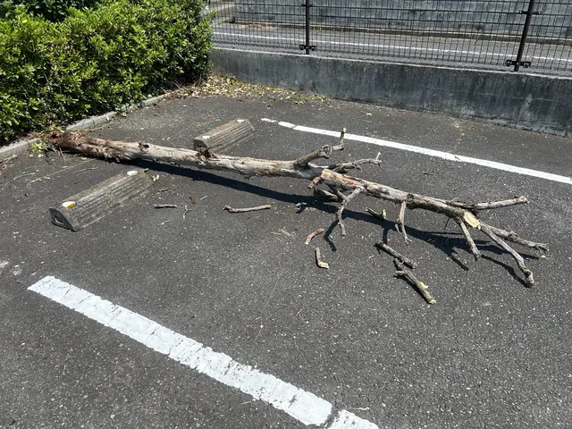 3年間100件以上の実績！大手企業も信頼するスペシャリストがご要望に完全対応サービスの画像