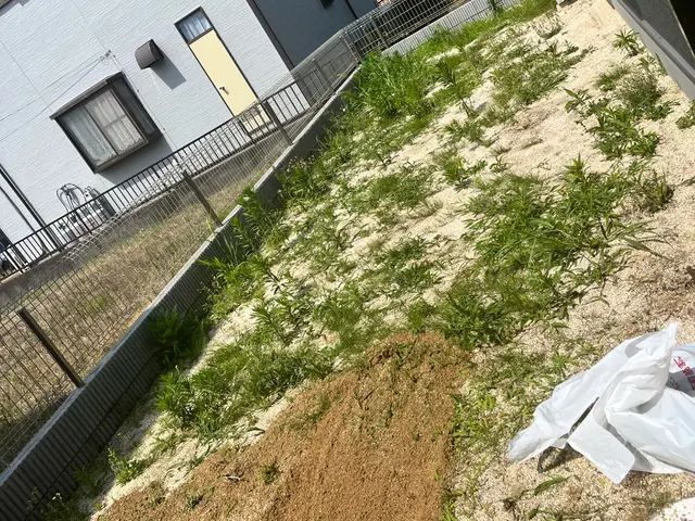 ◎年中無休◎予約から作業まで100%自社対応◎女性スタッフ同行可能サービスの画像