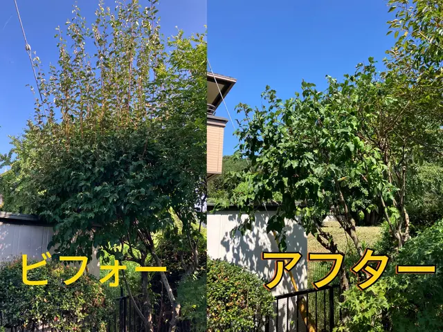 真心込めた庭木のお手入れ◆夫婦でご要望を丁寧に伺い、自然な仕上がりに整えますサービスの画像