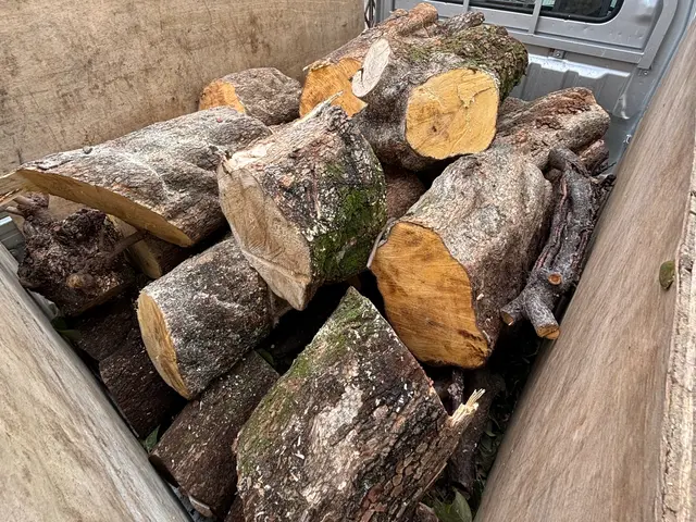 冬限定！2本以上で値引き致します。庭じまいでお困りの方や伐採で悩んでる方大歓迎！サービスの画像