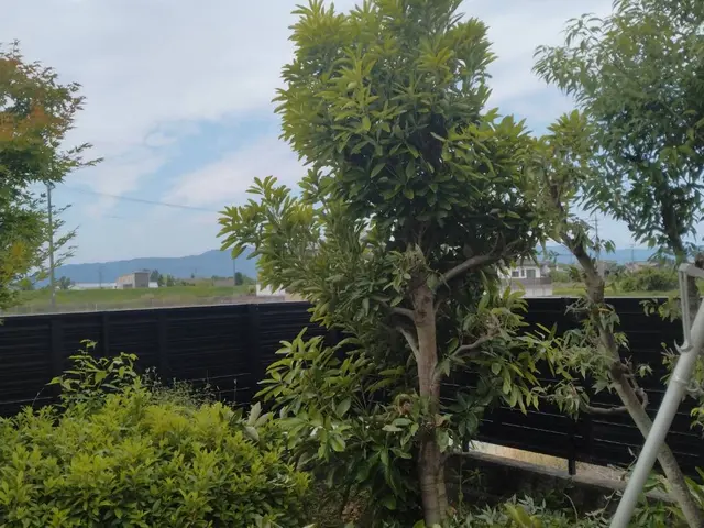 30年の技術を活かし、活動の幅を広げたくて登録しました。サービスの画像