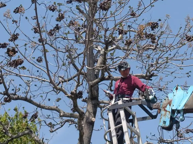 30年の技術を活かし、活動の幅を広げたくて登録しました。サービスの画像
