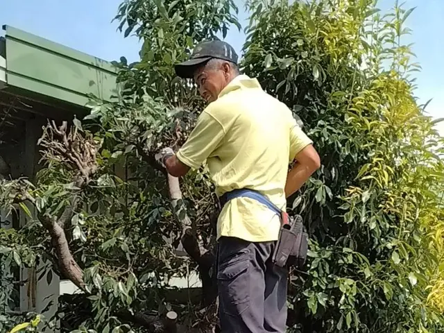 30年の技術を活かし、活動の幅を広げたくて登録しました。サービスの画像