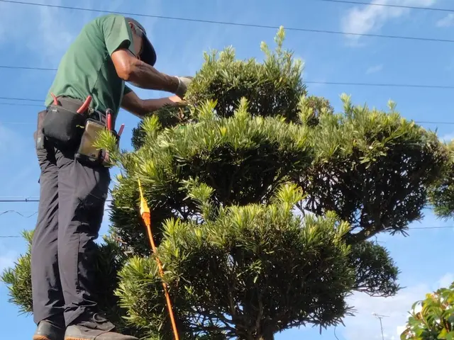 30年の技術を活かし、活動の幅を広げたくて登録しました。サービスの画像