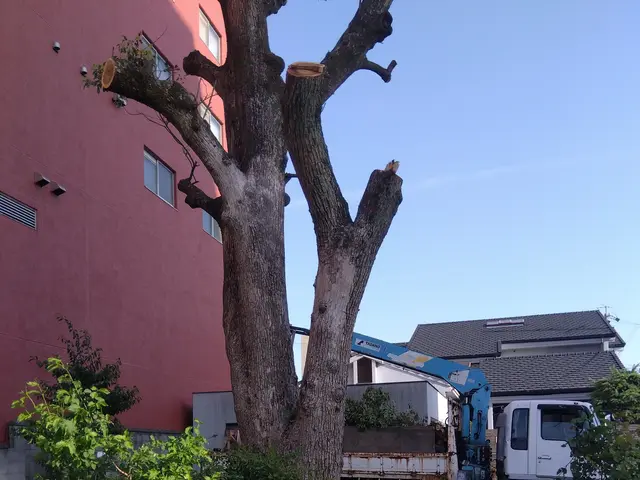 30年の技術を活かし、活動の幅を広げたくて登録しました。サービスの画像