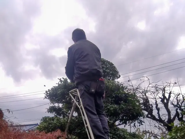 30年の技術を活かし、活動の幅を広げたくて登録しました。サービスの画像