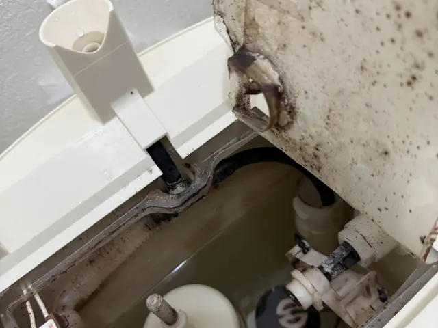 【日々使用する空間を快適に！】カビは徹底駆除！！！サービスの画像