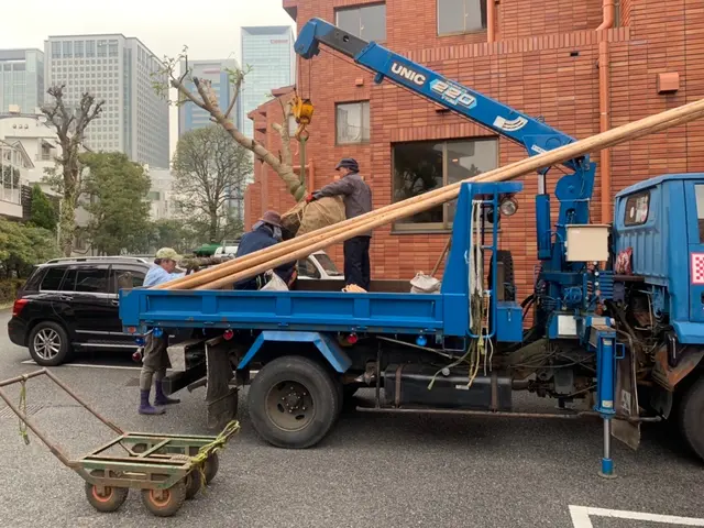 【創業35年】植木・庭木の植え替え、お任せ下さい！腕にはかなり自信があります！サービスの画像