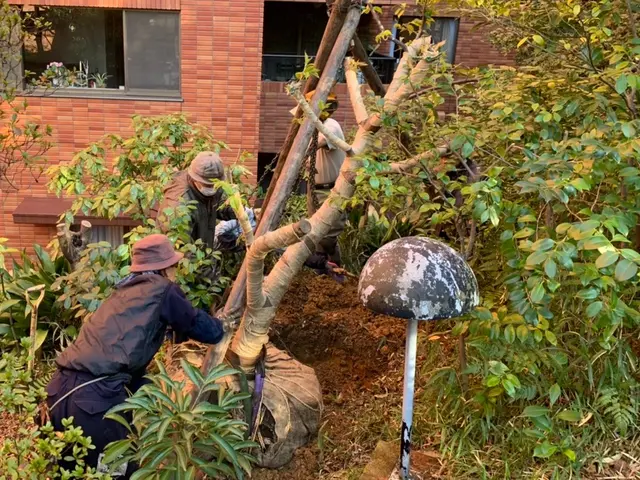 【創業35年】植木・庭木の植え替え、お任せ下さい！腕にはかなり自信があります！サービスの画像