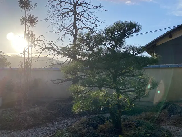 業界歴14年！年間150件の剪定作業実績！サービスの画像