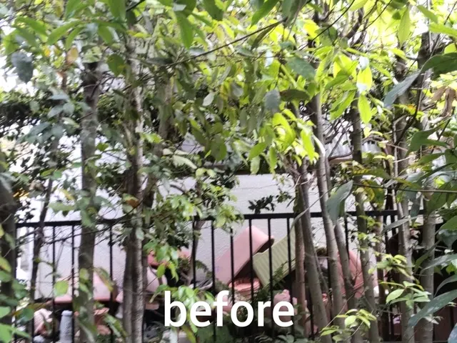 【12月1日以降まだ空き日がございます】◆女性スタッフ同行でご安心サービスの画像