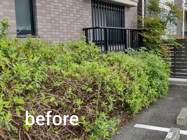 【12月1日以降まだ空き日がございます】◆女性スタッフ同行でご安心サービスの画像