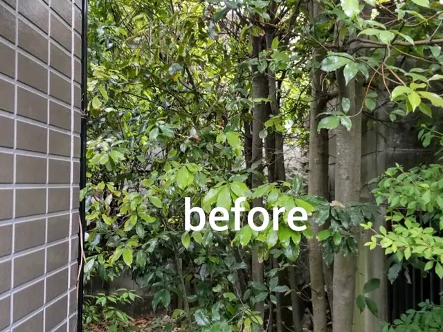 【12月1日以降まだ空き日がございます】◆女性スタッフ同行でご安心サービスの画像