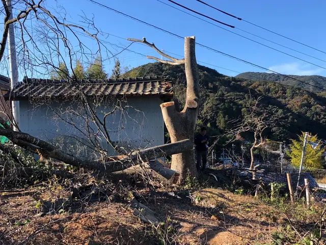 ＜損害保険加入済◎＞プロに任せてお困りごとを解決◎サービスの画像