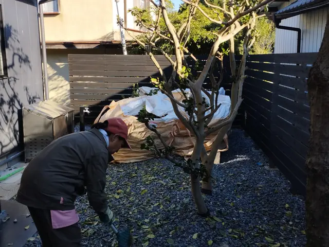 【年中無休】庭木・樹木・伐採作業承っております。サービスの画像