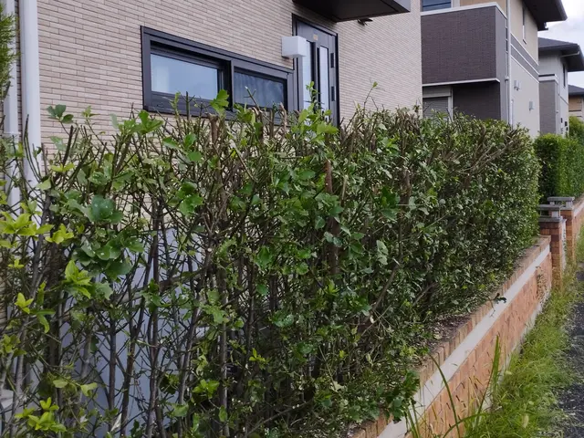 【年中無休】庭木・樹木・伐採作業承っております。サービスの画像