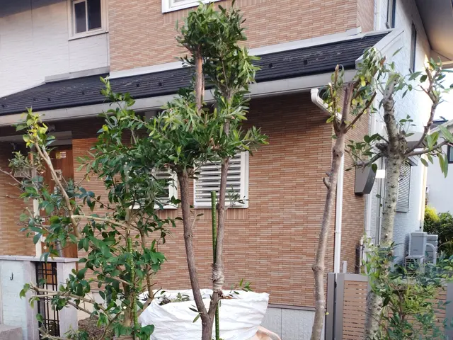 【年中無休】庭木・樹木・伐採作業承っております。サービスの画像