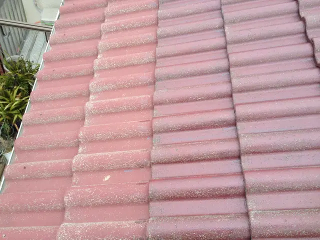 １級塗装技能士が真心込めて塗装いたします！100％自社施工◎時間や地域は相談OKサービスの画像