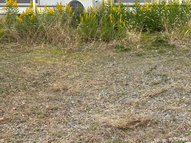 自分では出来ないお庭や空き地の草刈りお任せ下さい！サービスの画像