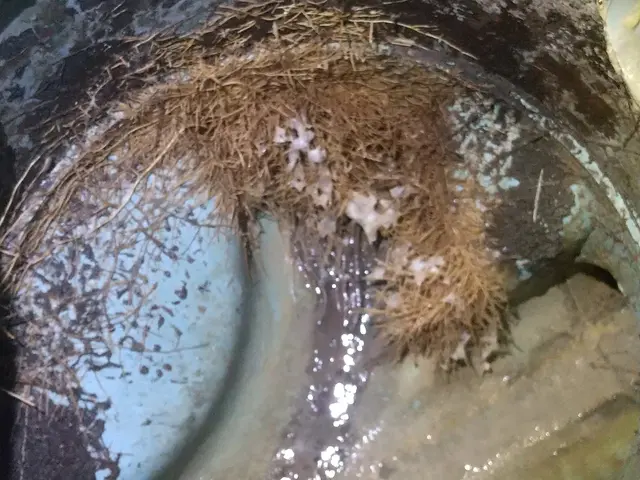 【埼玉、群馬、東京、千葉、茨城を中心に活動】蛇口交換やリフォームの相談もぜひサービスの画像