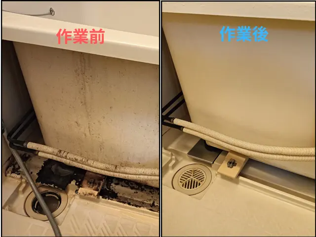 【年末大掃除】協会ハウスクリーニング士！プロに任せて楽に綺麗で満足な年末年始を！サービスの画像