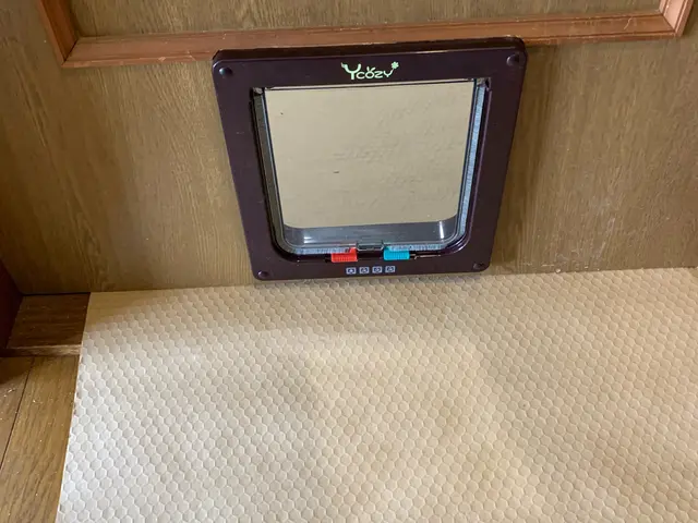 ペットドア取り付けします！栃木県外の方も出張費¥3,000+高速代で伺います！サービスの画像