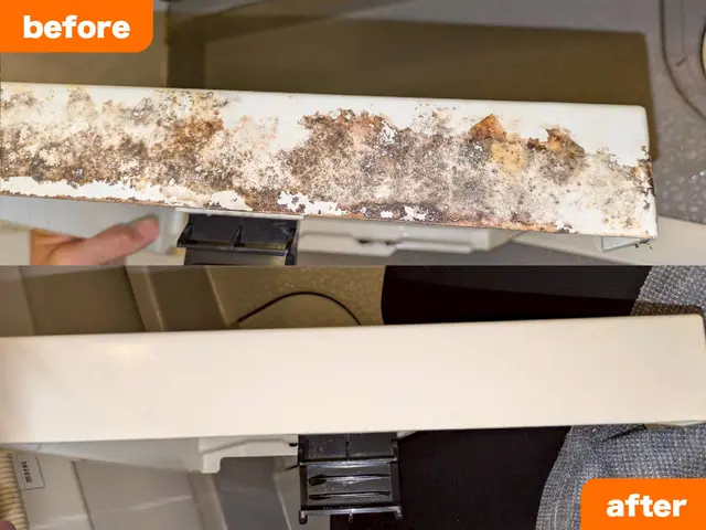 プロの技術でキッチリしっかりピッカピカ！サービスの画像