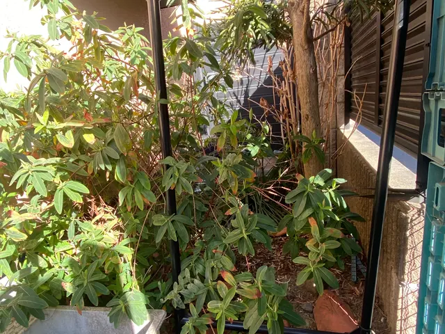 《年中無休》迅速・丁寧！作業外注一切なし◎庭木の伐採で心配事をなくしませんか？サービスの画像