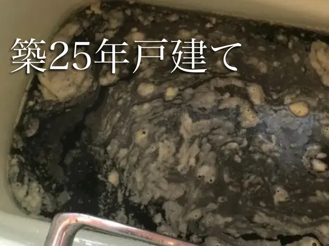 女性スタッフ同行可能◎損害保険に加入済み！何でも当店へお任せください！サービスの画像