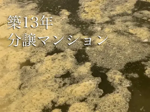 女性スタッフ同行可能◎損害保険に加入済み！何でも当店へお任せください！サービスの画像