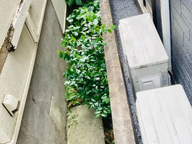 見違えるほどお家周りをスタイリッシュに！サービスの画像