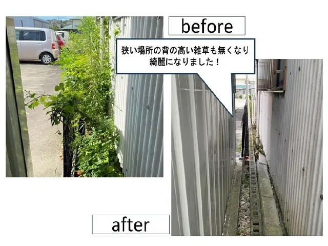 好評！11月以降になります◎雑草が無くなり気分スッキリ！手作業で確実に草むしりサービスの画像