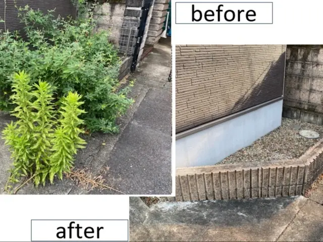 好評！11月以降になります◎雑草が無くなり気分スッキリ！手作業で確実に草むしりサービスの画像