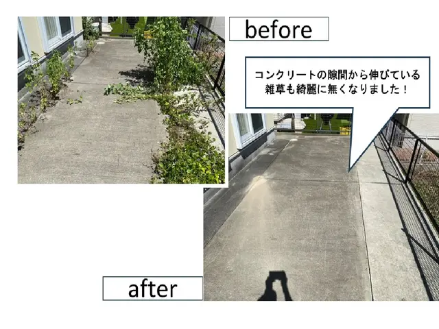 好評！11月以降になります◎雑草が無くなり気分スッキリ！手作業で確実に草むしりサービスの画像