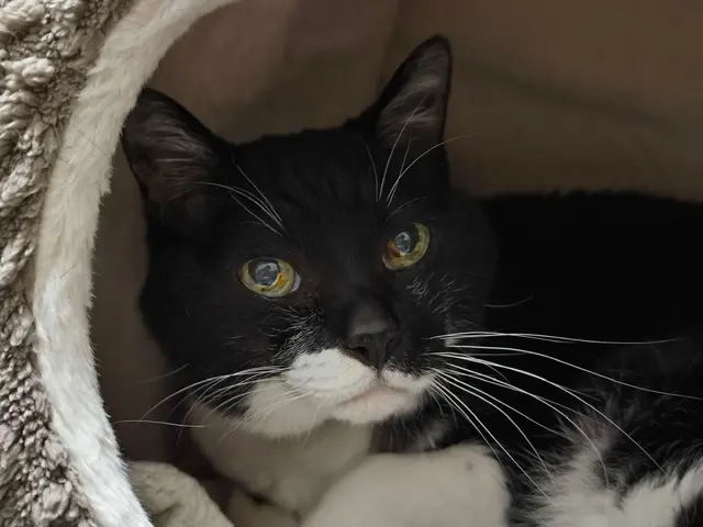 【夫婦で運営】女性スタッフ訪問可能♪リピーターが自慢◉動画や写真で報告します！サービスの画像