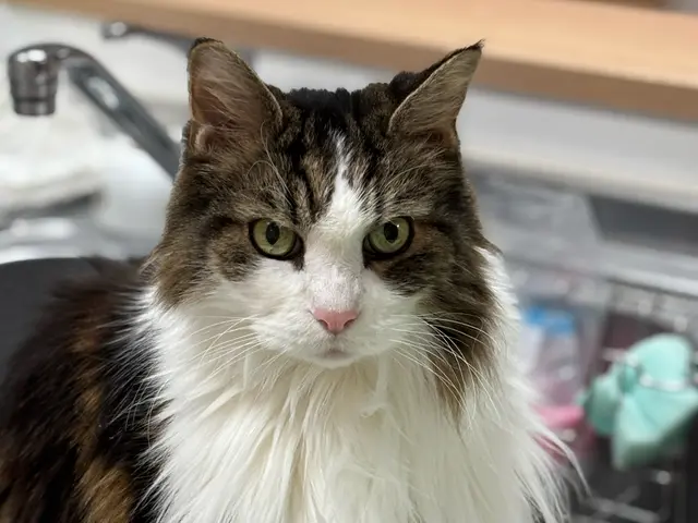 【夫婦で運営】女性スタッフ訪問可能♪リピーターが自慢◉動画や写真で報告します！サービスの画像