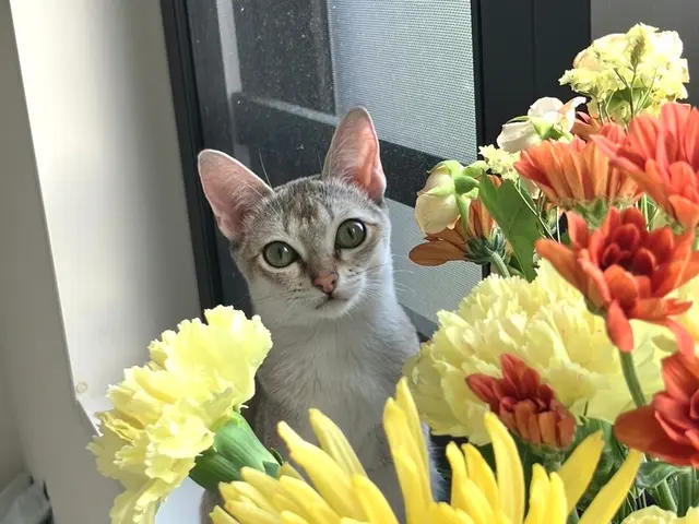 【夫婦で運営】女性スタッフ訪問可能♪リピーターが自慢◉動画や写真で報告します！サービスの画像