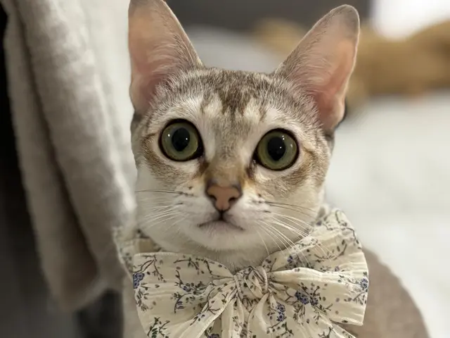 【夫婦で運営】女性スタッフ訪問可能♪リピーターが自慢◉動画や写真で報告します！サービスの画像