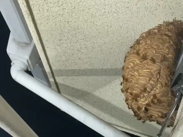 『即日対応可能』地域密着、高所◎ 夜間、早朝もお任せください！！サービスの画像