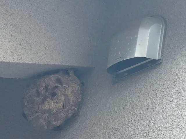 『即日対応可能』地域密着、高所◎ 夜間、早朝もお任せください！！サービスの画像