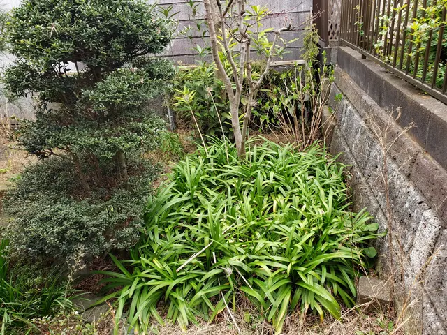 ＜年中無休＞・草刈り・草むしり・剪定サービスの画像