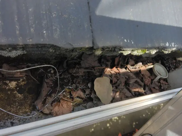 雨樋の掃除、補修等 基本足場無し、ハシゴ作業で承ります。三階以上は要相談です。サービスの画像